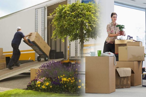 نقل اثاث الفيلات